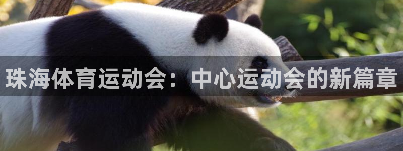 沐鸣2平台主管