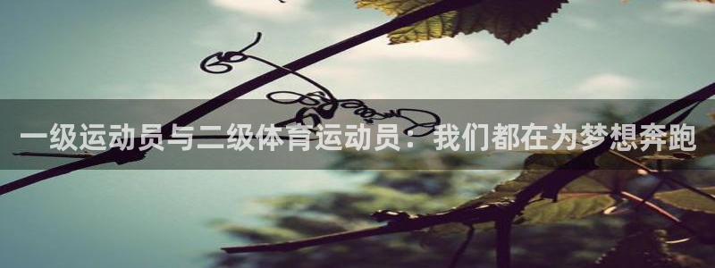 沐鸣22登录