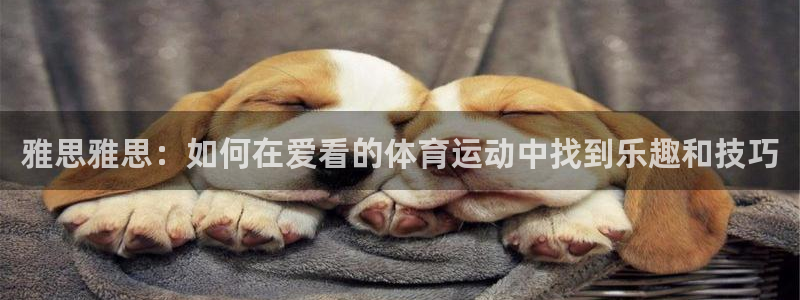 沐鸣2测速登录