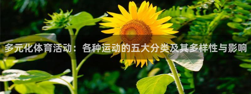 沐鸣2登陆