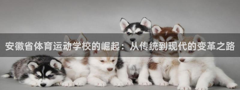 沐鸣2体育论坛