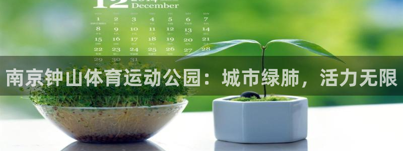 沐鸣2官方登录