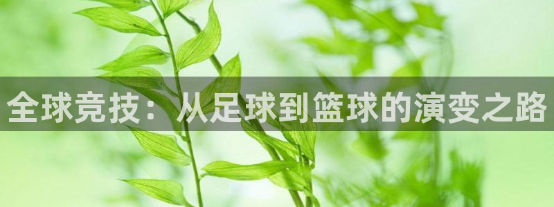 沐鸣2代理