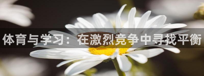沐鸣2集团