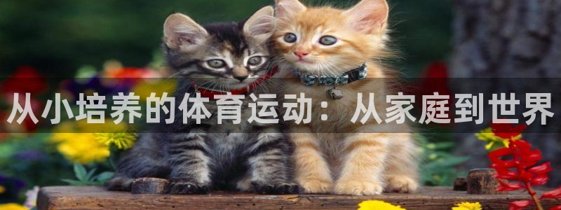 沐鸣24登录