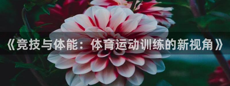 沐鸣注册