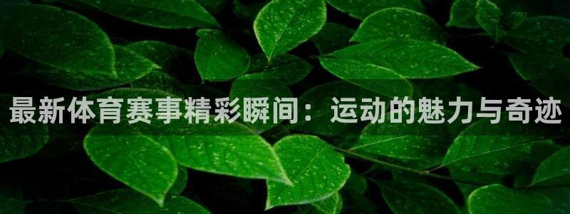 沐鸣2客户端 登录