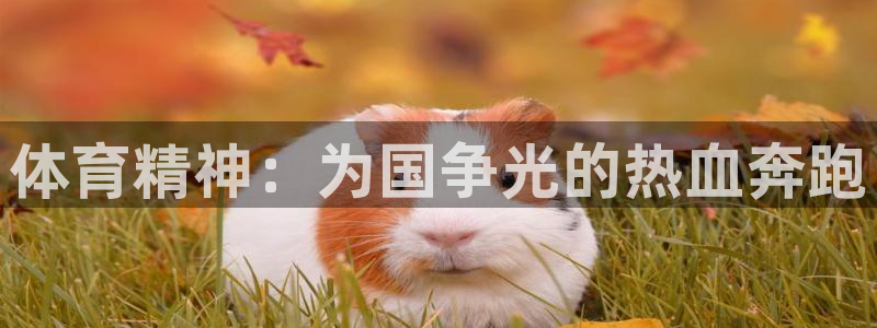 对峙2下载免登录