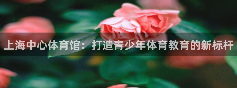 沐鸣2平台官网登录