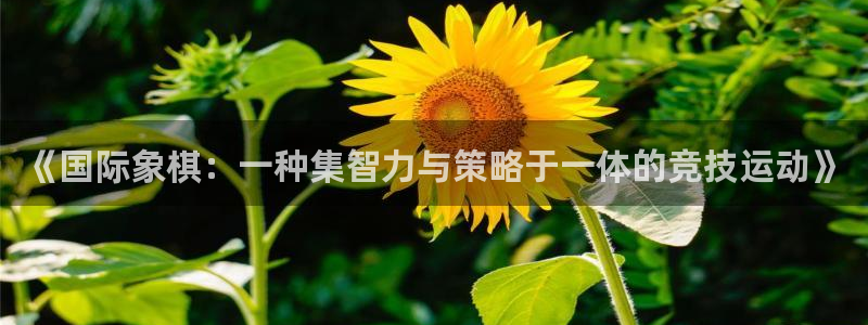 沐鸣2代理