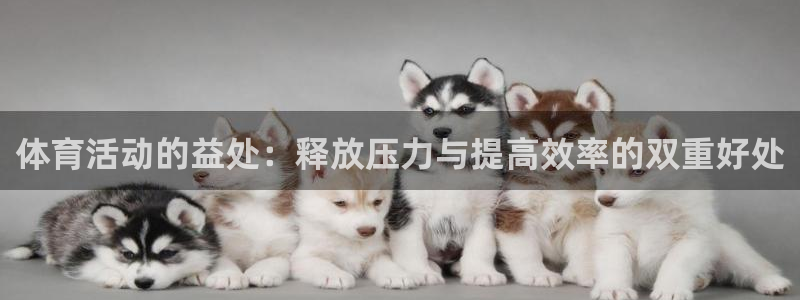 沐鸣2主管