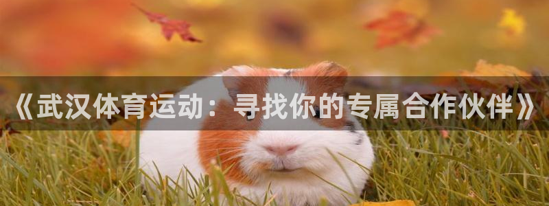 沐鸣2体育代理申请流程