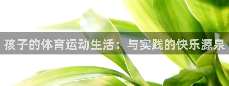 沐鸣24代理