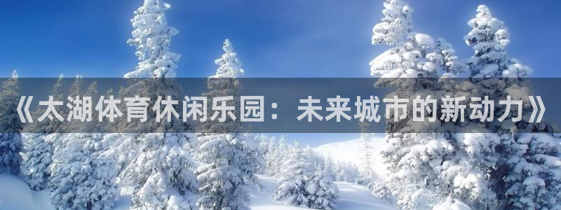 沐鸣2平台总代理