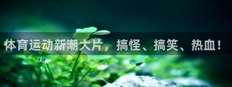 沐鸣24平台注册