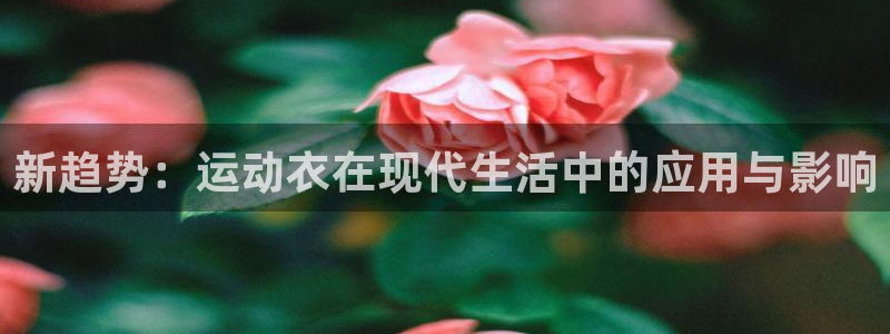 沐鸣2零能源集团