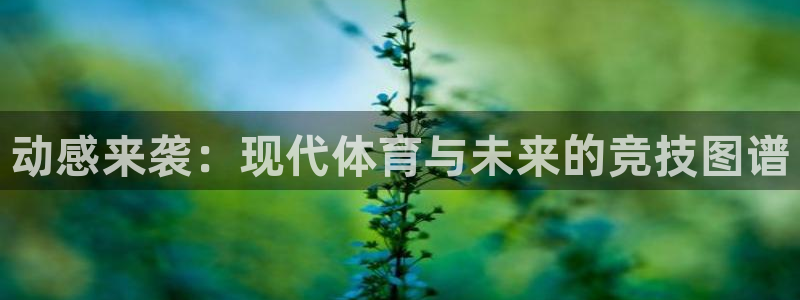 沐鸣2平台官网登录